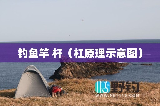 钓鱼竿 杆（杠原理示意图）