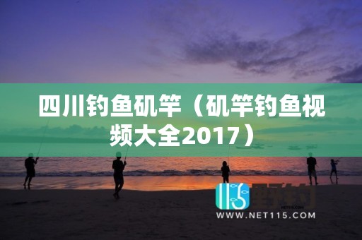 四川钓鱼矶竿（矶竿钓鱼视频大全2017）