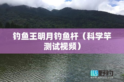 钓鱼王明月钓鱼杆（科学竿测试视频）