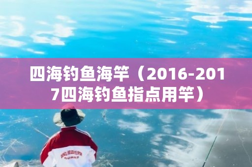 四海钓鱼海竿（2016-2017四海钓鱼指点用竿）