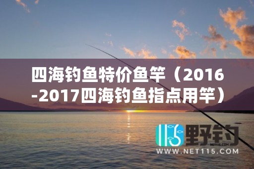 四海钓鱼特价鱼竿（2016-2017四海钓鱼指点用竿）