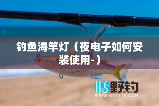 钓鱼海竿灯（夜电子如何安装使用-）