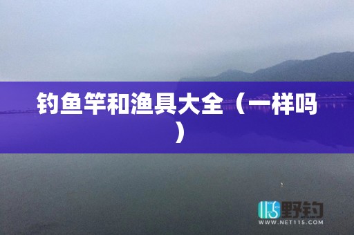 钓鱼竿和渔具大全（一样吗）
