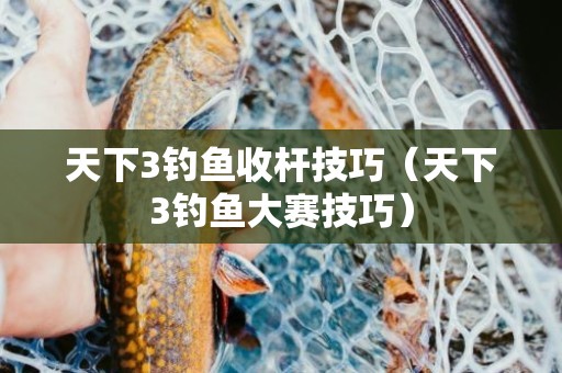 天下3钓鱼收杆技巧（天下3钓鱼大赛技巧）