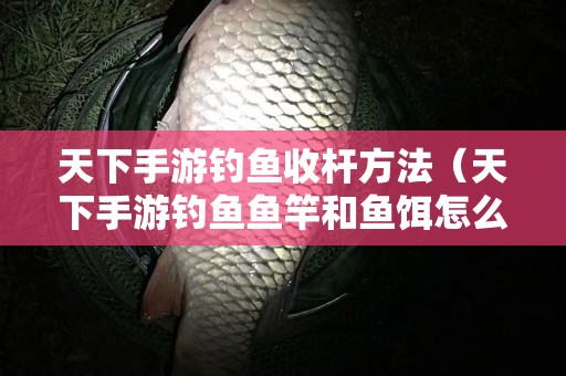 天下手游钓鱼收杆方法（天下手游钓鱼鱼竿和鱼饵怎么买）