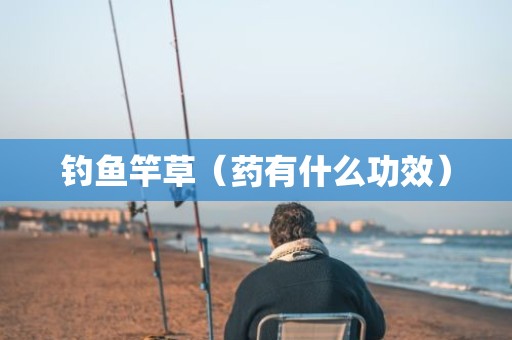 钓鱼竿草（药有什么功效）