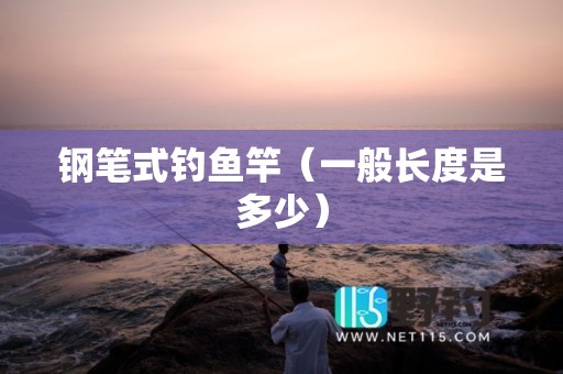 钢笔式钓鱼竿（一般长度是多少）