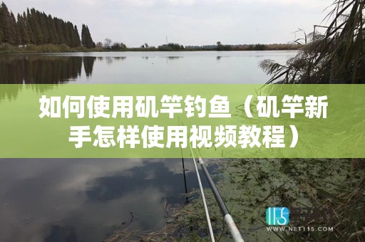 如何使用矶竿钓鱼（矶竿新手怎样使用视频教程）