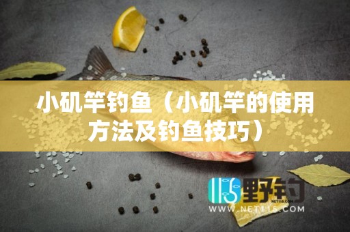 小矶竿钓鱼（小矶竿的使用方法及钓鱼技巧）