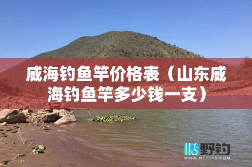 威海钓鱼竿价格表（山东威海钓鱼竿多少钱一支）