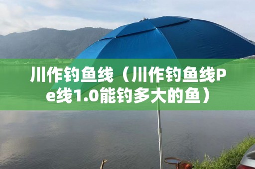 川作钓鱼线（川作钓鱼线Pe线1.0能钓多大的鱼）