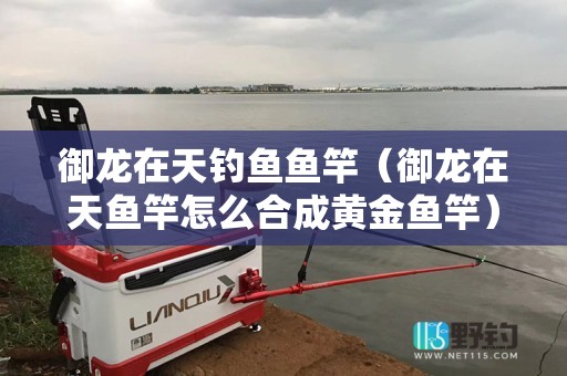御龙在天钓鱼鱼竿（御龙在天鱼竿怎么合成黄金鱼竿）