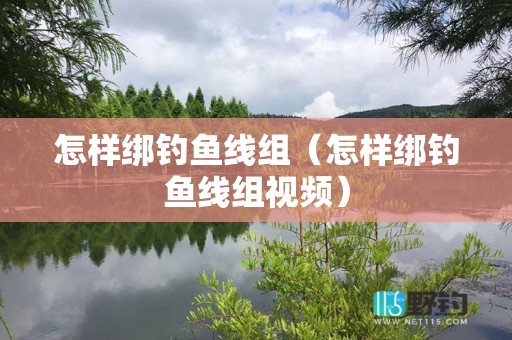 怎样绑钓鱼线组（怎样绑钓鱼线组视频）