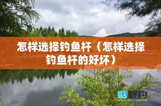 怎样选择钓鱼杆（怎样选择钓鱼杆的好坏）