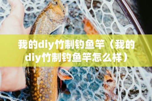 我的diy竹制钓鱼竿（我的diy竹制钓鱼竿怎么样）