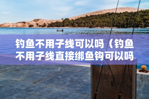 钓鱼不用子线可以吗（钓鱼不用子线直接绑鱼钩可以吗）