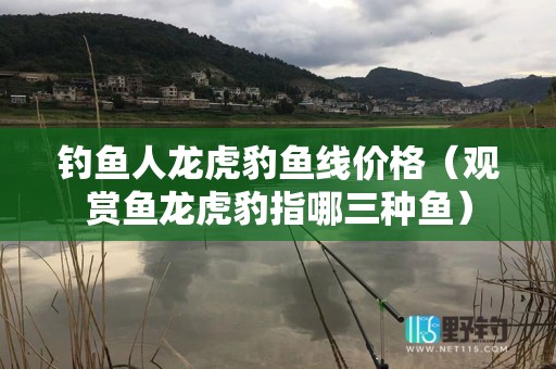 钓鱼人龙虎豹鱼线价格（观赏鱼龙虎豹指哪三种鱼）
