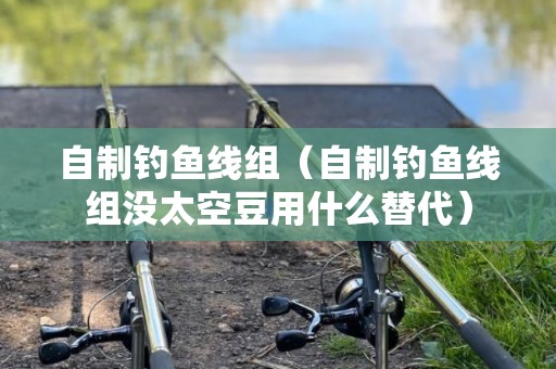 自制钓鱼线组（自制钓鱼线组没太空豆用什么替代）