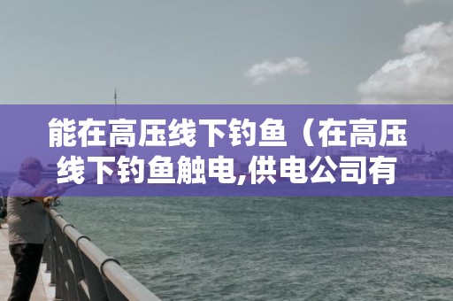 能在高压线下钓鱼（在高压线下钓鱼触电,供电公司有责任么）