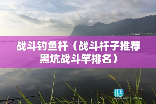 战斗钓鱼杆（战斗杆子推荐黑坑战斗竿排名）