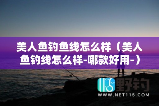 美人鱼钓鱼线怎么样（美人鱼钓线怎么样-哪款好用-）