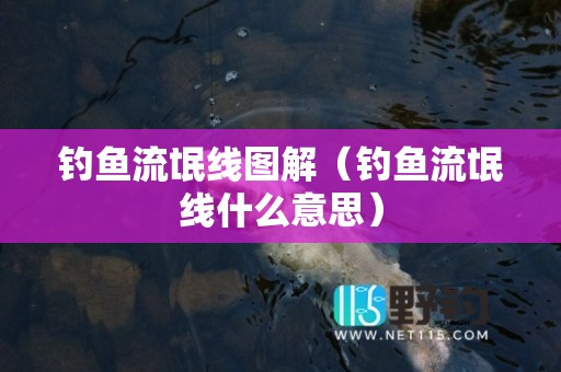 钓鱼流氓线图解（钓鱼流氓线什么意思）