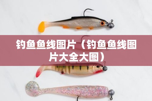 钓鱼鱼线图片（钓鱼鱼线图片大全大图）