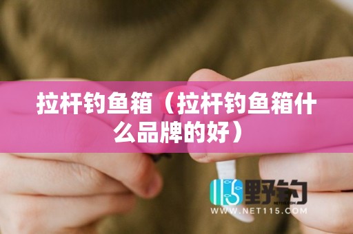 拉杆钓鱼箱（拉杆钓鱼箱什么品牌的好）