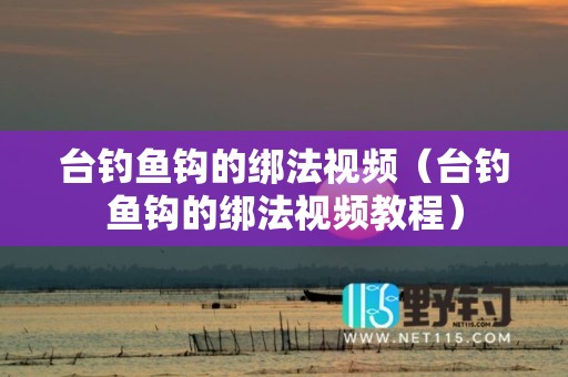 台钓鱼钩的绑法视频（台钓鱼钩的绑法视频教程）