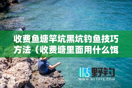 收费鱼塘竿坑黑坑钓鱼技巧方法（收费塘里面用什么饵料钓鲫鱼）