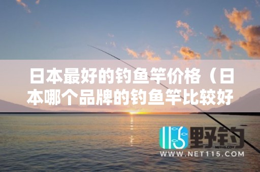 日本最好的钓鱼竿价格（日本哪个品牌的钓鱼竿比较好-）
