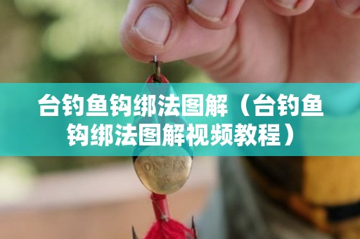 台钓鱼钩绑法图解（台钓鱼钩绑法图解视频教程）