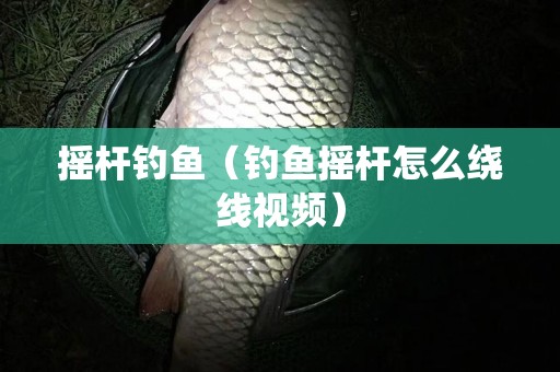 摇杆钓鱼（钓鱼摇杆怎么绕线视频）