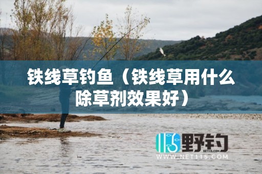铁线草钓鱼（铁线草用什么除草剂效果好）