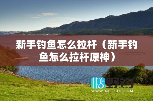 新手钓鱼怎么拉杆（新手钓鱼怎么拉杆原神）