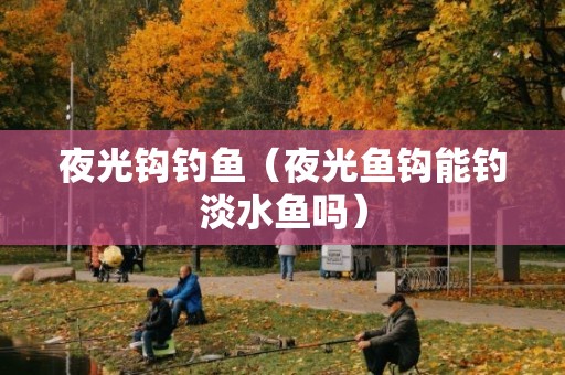 夜光钩钓鱼（夜光鱼钩能钓淡水鱼吗）