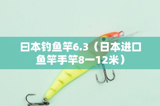 曰本钓鱼竿6.3（日本进口鱼竿手竿8一12米）