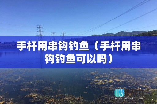 手杆用串钩钓鱼（手杆用串钩钓鱼可以吗）