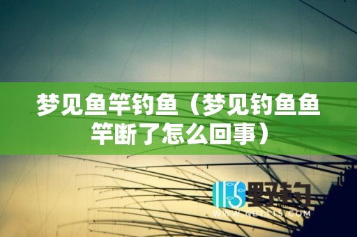 梦见鱼竿钓鱼（梦见钓鱼鱼竿断了怎么回事）