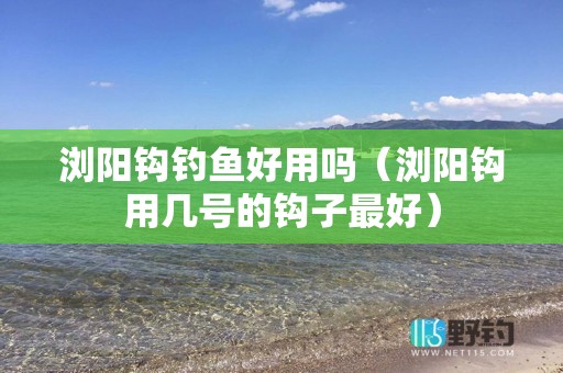 浏阳钩钓鱼好用吗（浏阳钩用几号的钩子最好）