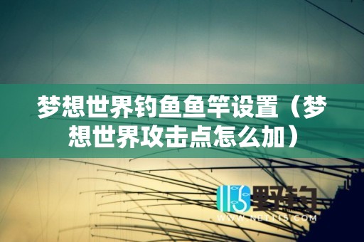 梦想世界钓鱼鱼竿设置（梦想世界攻击点怎么加）