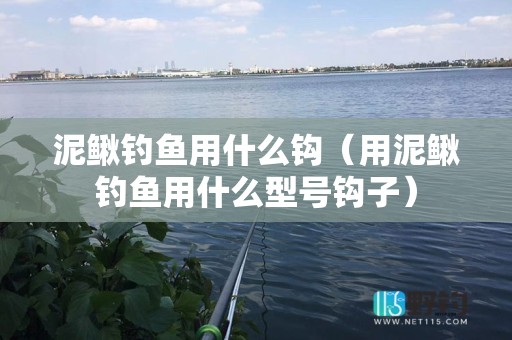 泥鳅钓鱼用什么钩（用泥鳅钓鱼用什么型号钩子）