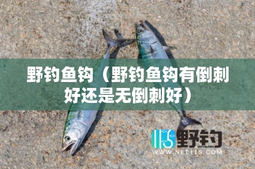 野钓鱼钩（野钓鱼钩有倒刺好还是无倒刺好）