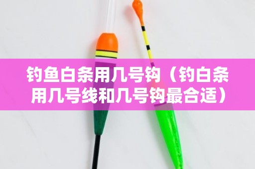 钓鱼白条用几号钩（钓白条用几号线和几号钩最合适）
