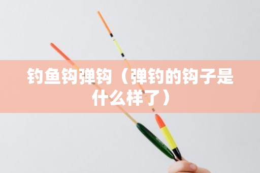 钓鱼钩弹钩（弹钓的钩子是什么样了）