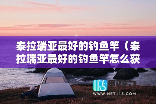 泰拉瑞亚最好的钓鱼竿（泰拉瑞亚最好的钓鱼竿怎么获得）