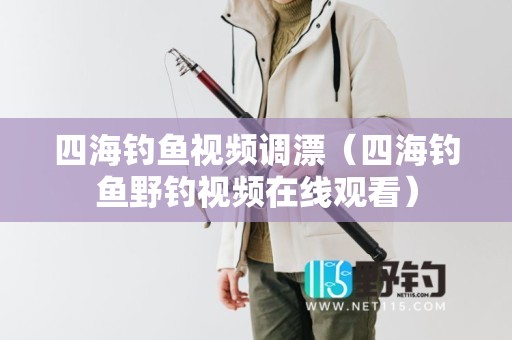 四海钓鱼视频调漂（四海钓鱼野钓视频在线观看）