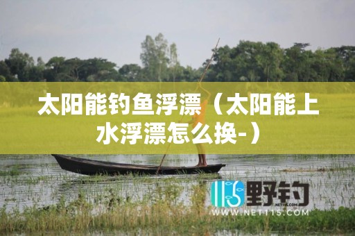 太阳能钓鱼浮漂（太阳能上水浮漂怎么换-）
