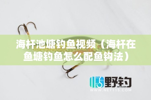 海杆池塘钓鱼视频（海杆在鱼塘钓鱼怎么配鱼钩法）