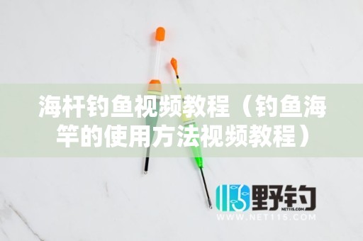 海杆钓鱼视频教程（钓鱼海竿的使用方法视频教程）